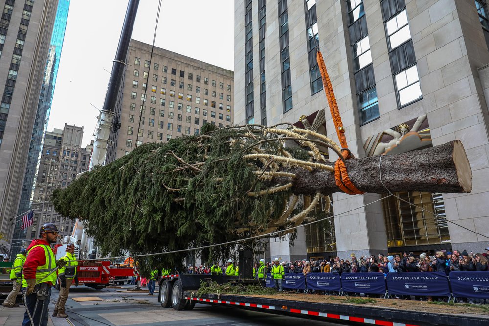 rocktree-55.jpg Rockefeller Center tree