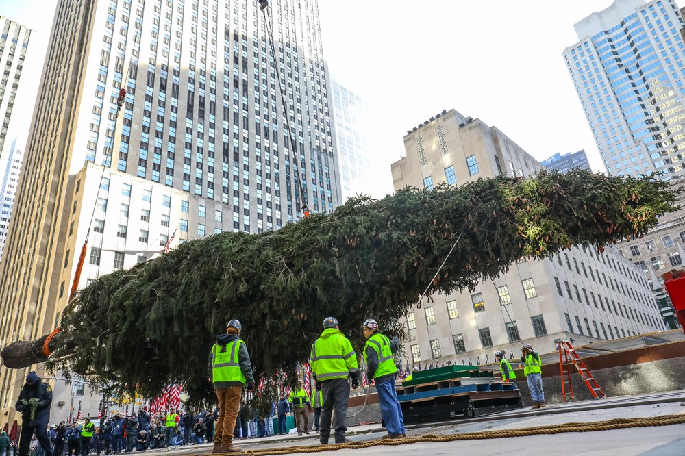 rocktree-68.jpg Rockefeller Center tree