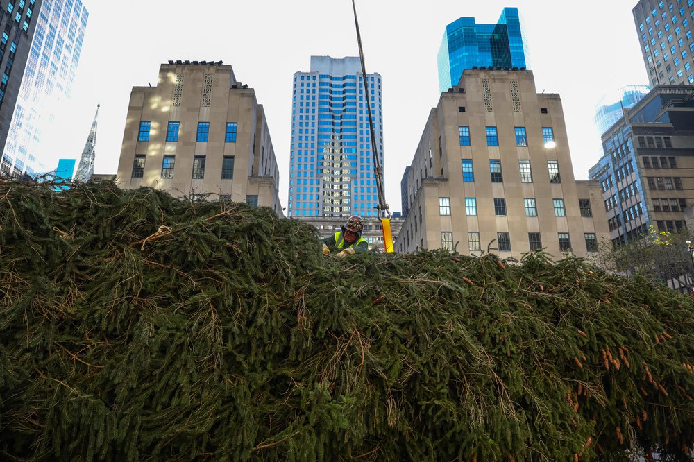 rocktree-85.jpg Rockefeller Center tree