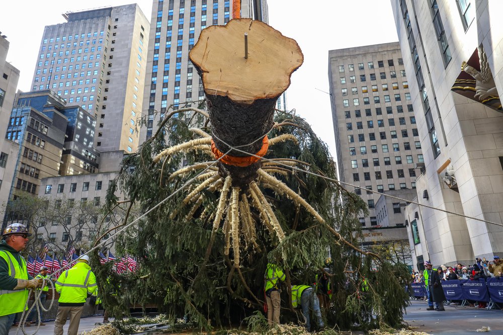 rocktree-98.jpg Rockefeller Center tree