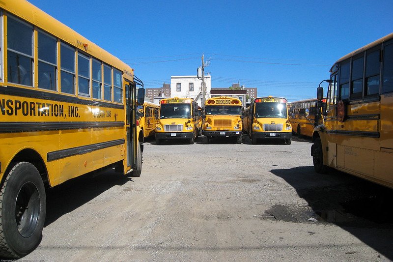 School buses