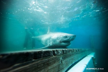 Just stopping by to say hello.
