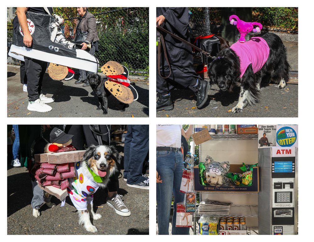 Four dogs dressed in their costumes at the Tompkins Square Dog Halloween Parade.