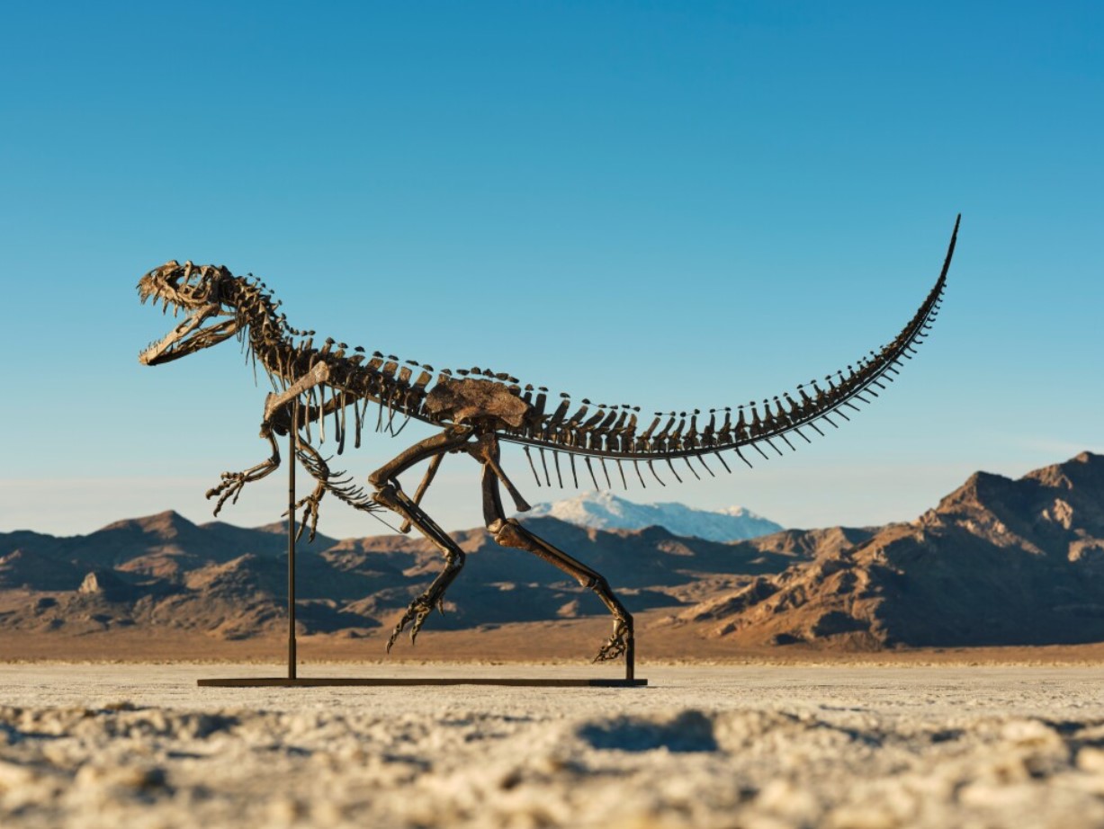 See a rare dinosaur or a chunk of Mars during Sotheby’s Geek Week