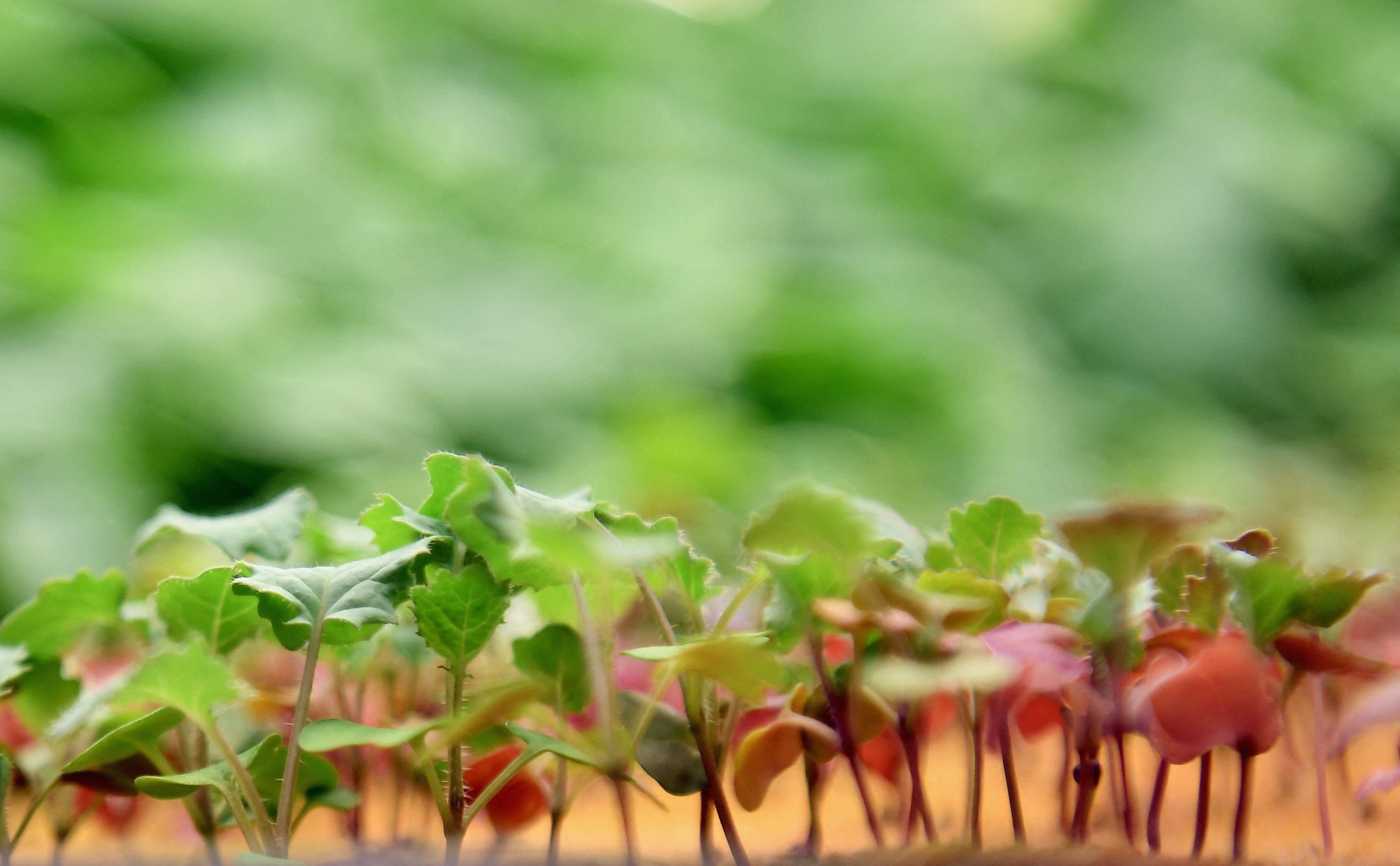 NJ lawmakers advance landmark legislation aimed at expanding urban farming