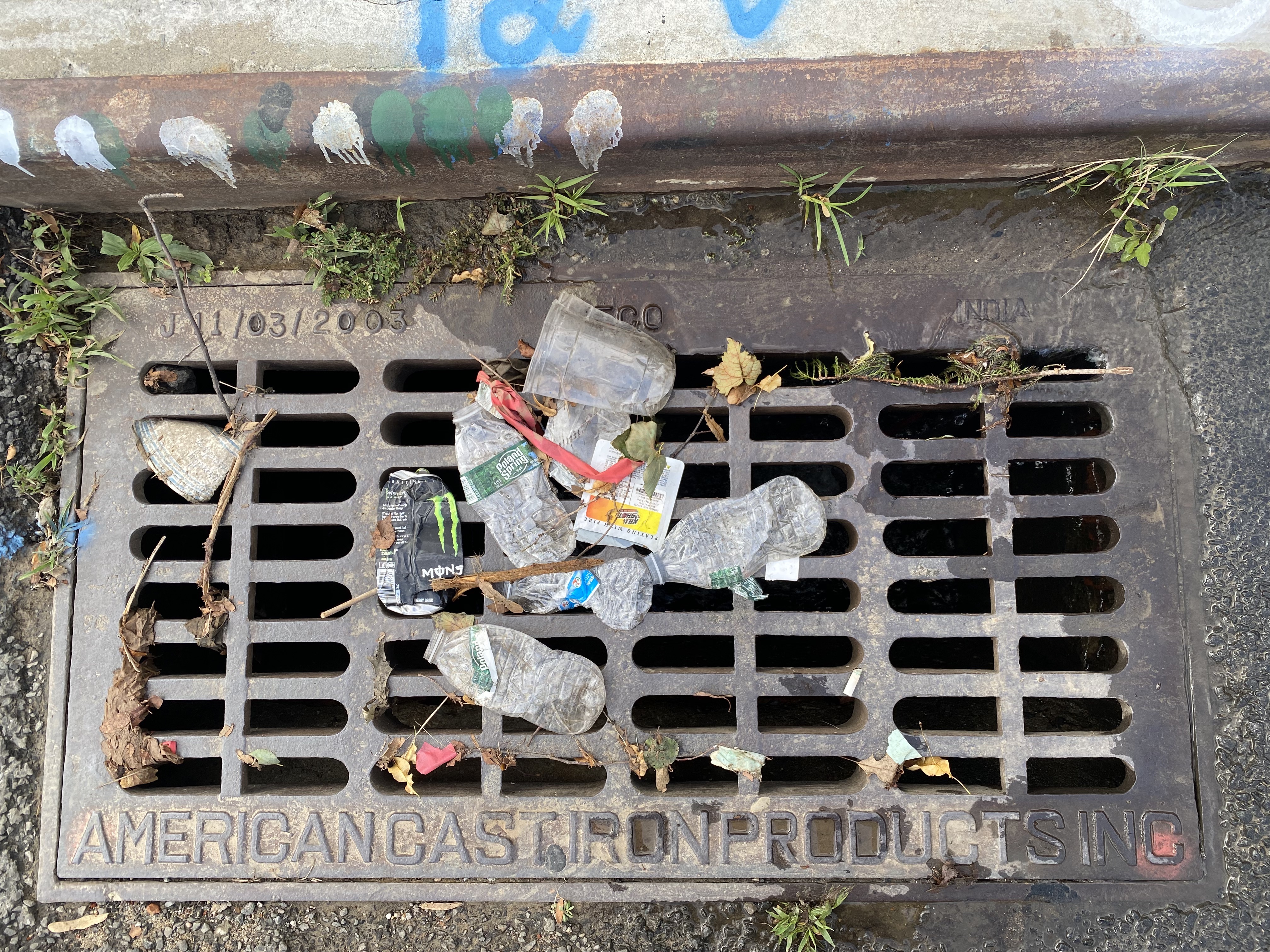 Litter on a storm drain.