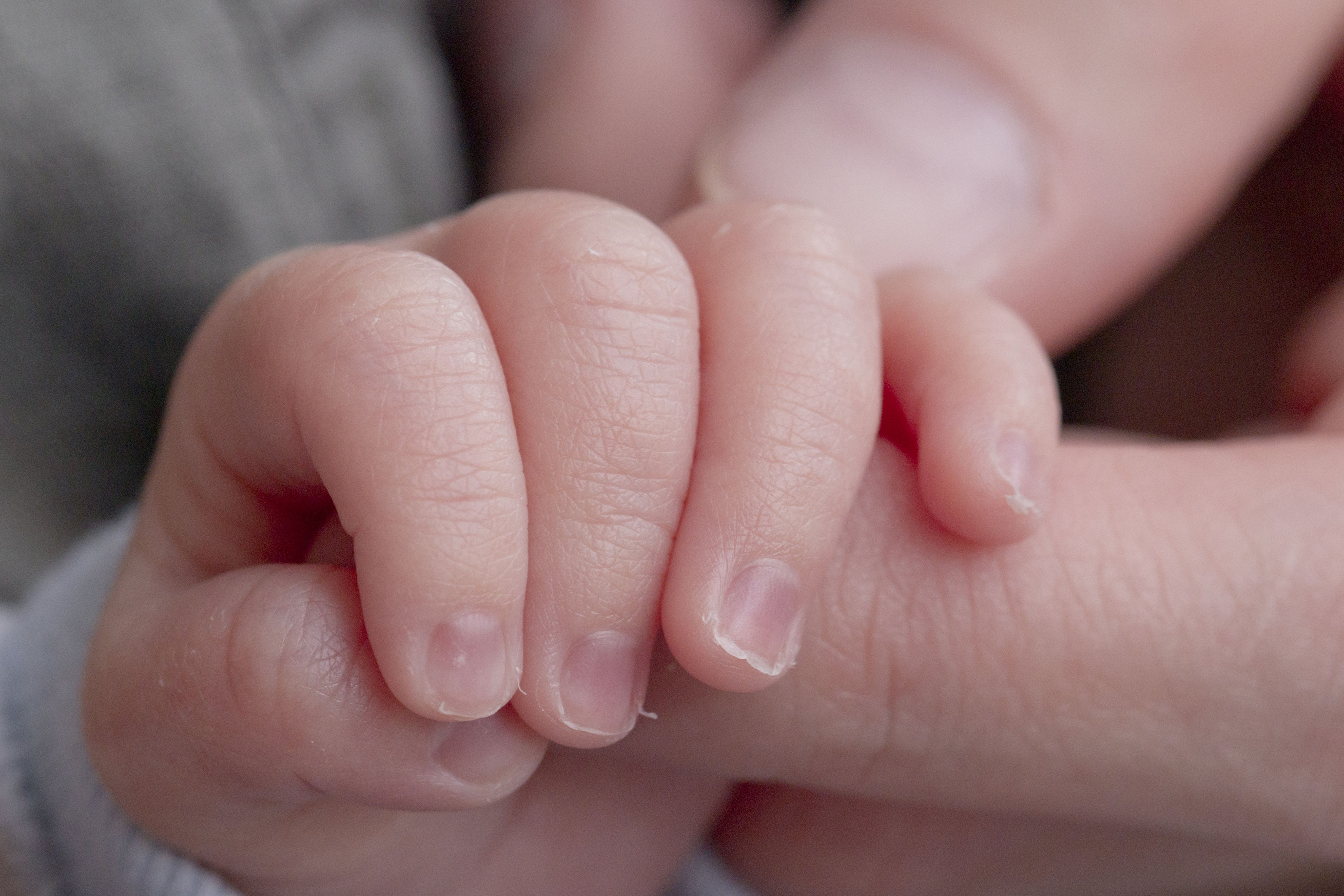 Mayor Adams wants fewer NYC babies born in shelters. Advocates are skeptical of his plan.