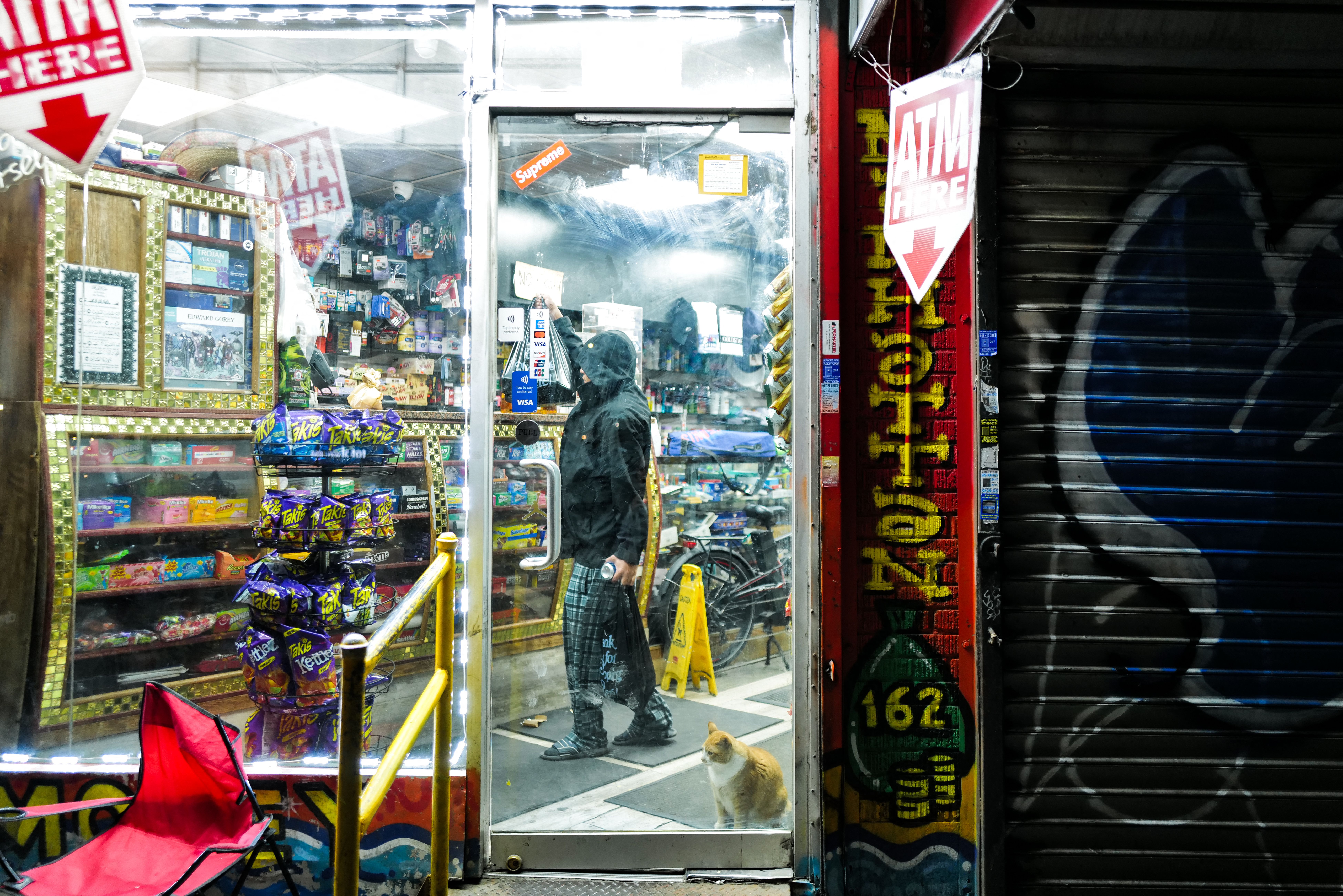 NYC lawmaker wants to legalize bodega cats in the 5 boroughs