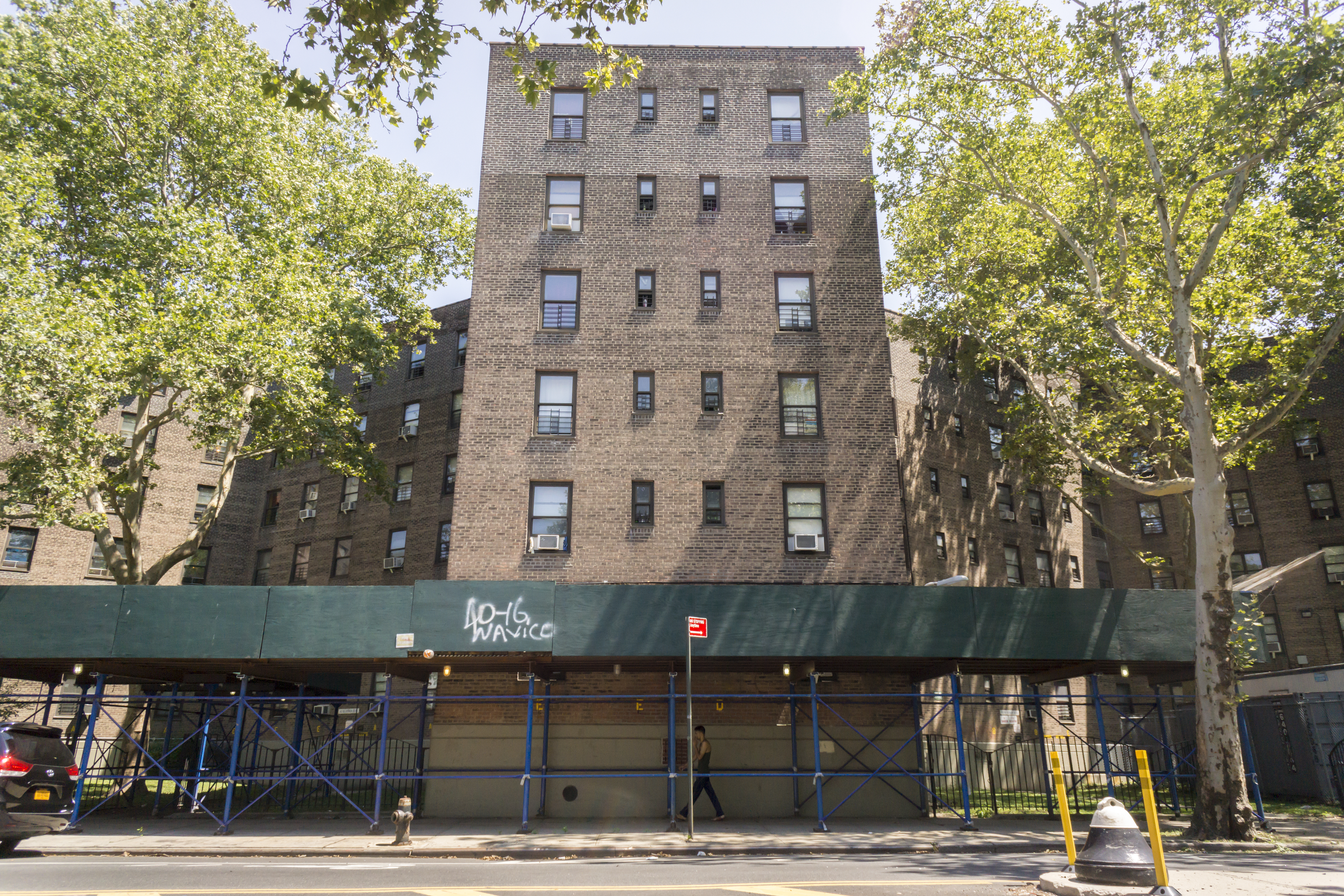 Queens infant dies after family dog mauls her, police say