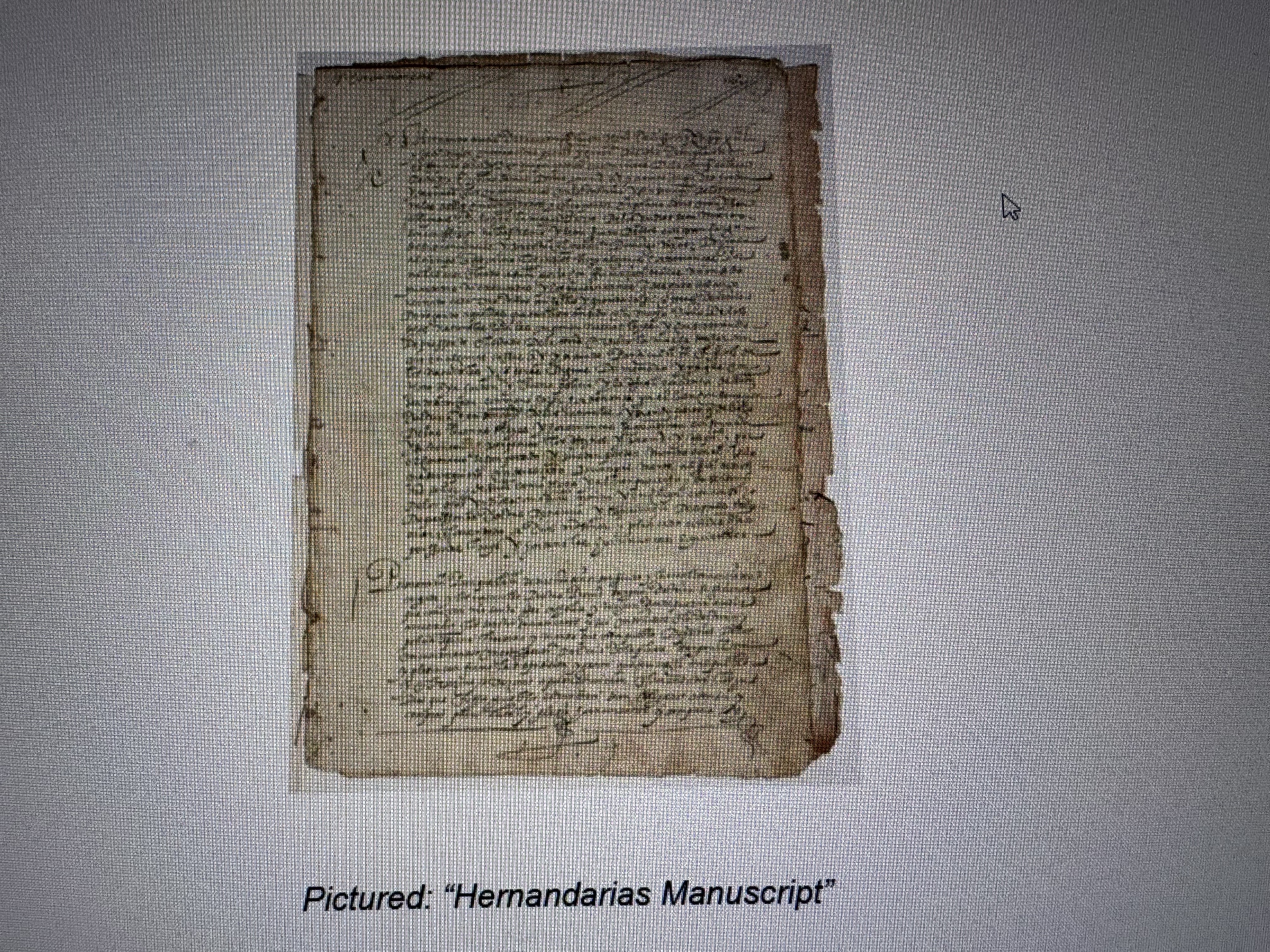 新作人気 century 16th stolen A manuscript Paraguay to returned is 日本酒
