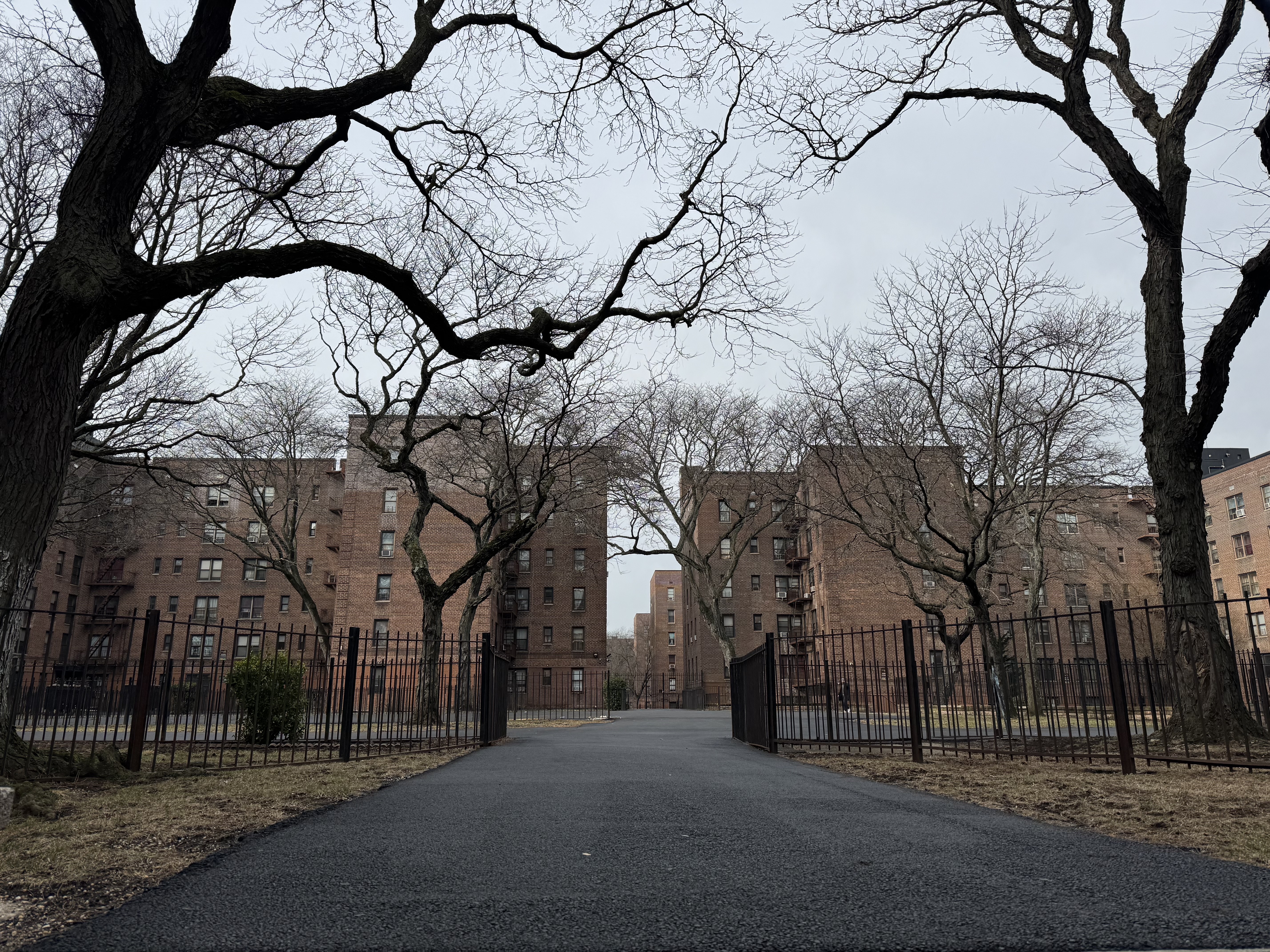 Teen fatally shot at Brooklyn apartment complex had gone to visit friend, family says
