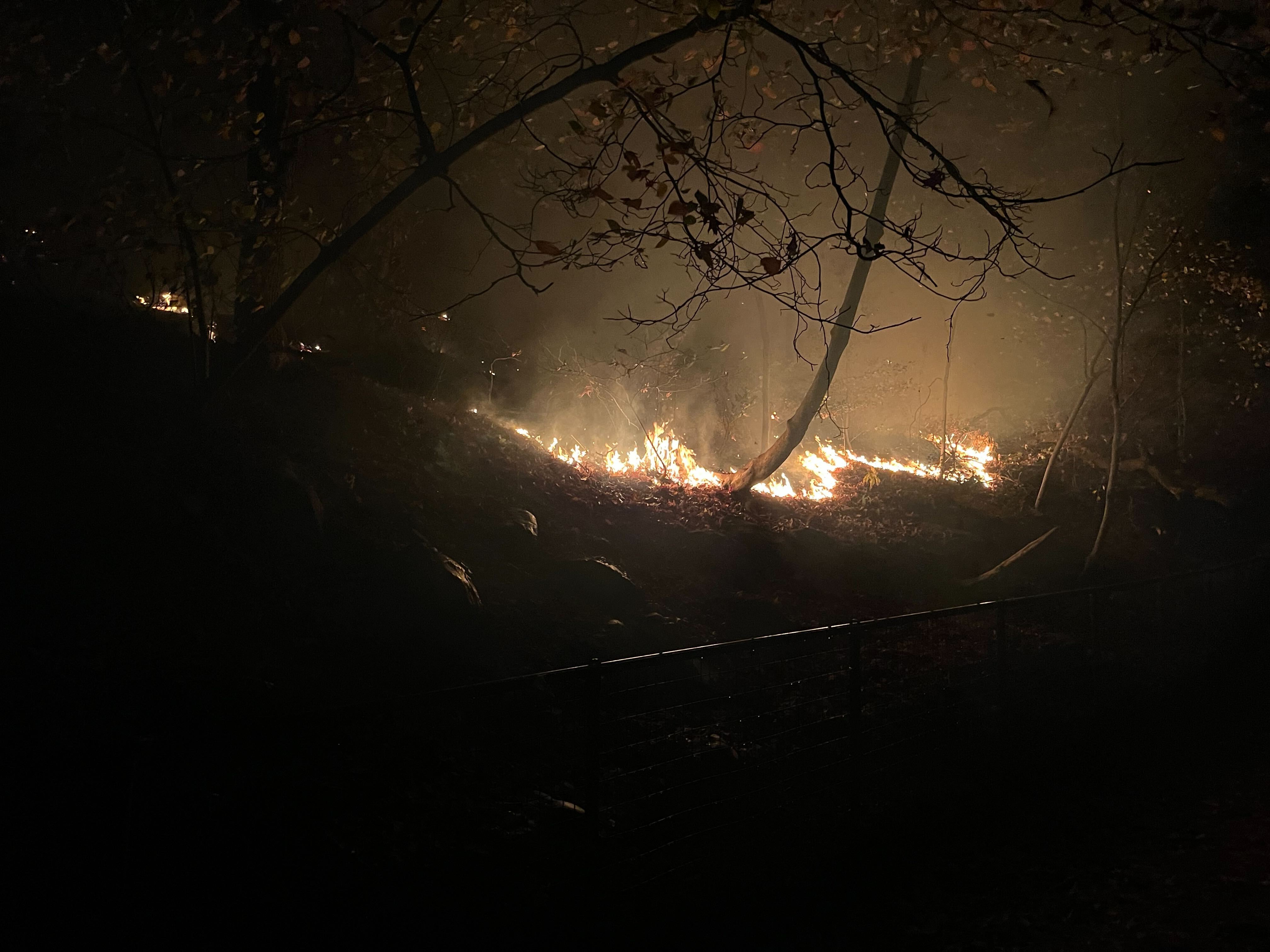 A Brush Fire in Prospect Park Friday Night