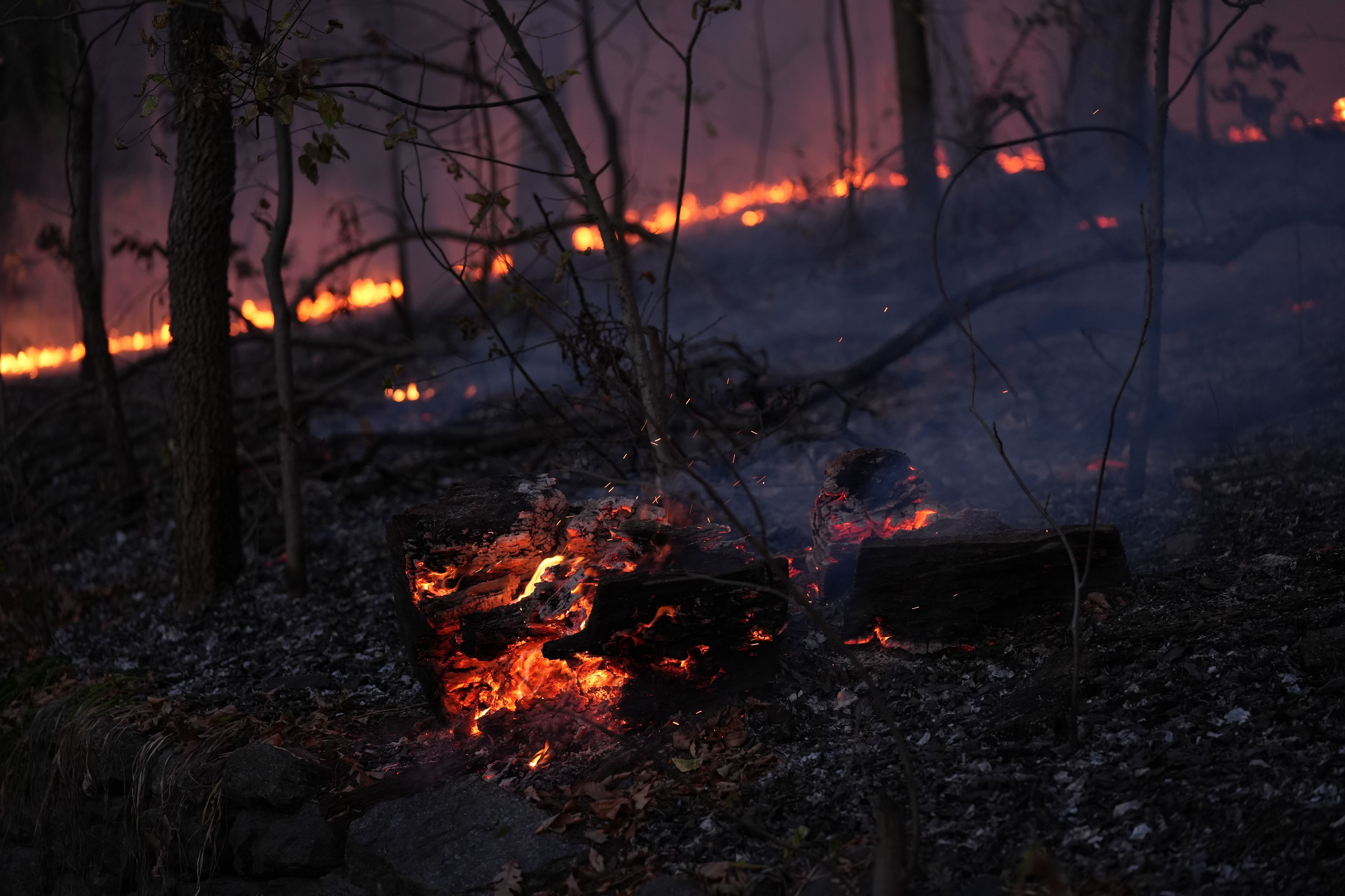 Photo of a brush fire that erupted in Inwood Hill Park in Manhattan last week.