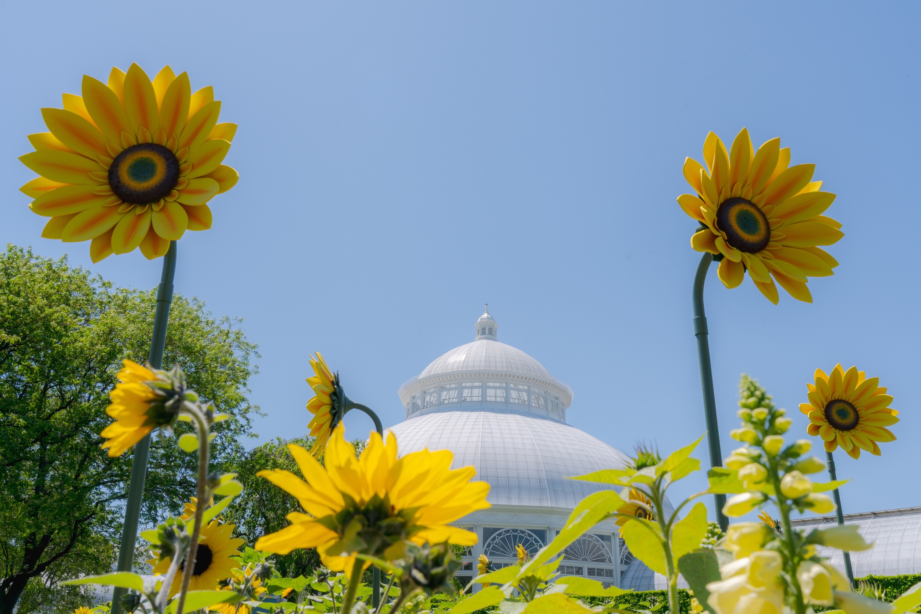 A first look at the New York Botanical Garden's floral