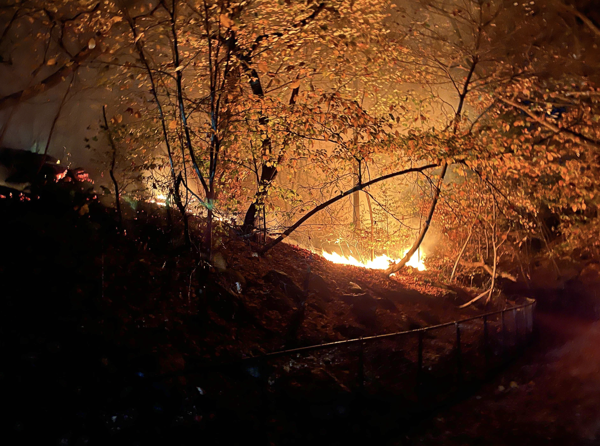 A fire at night in a city park.