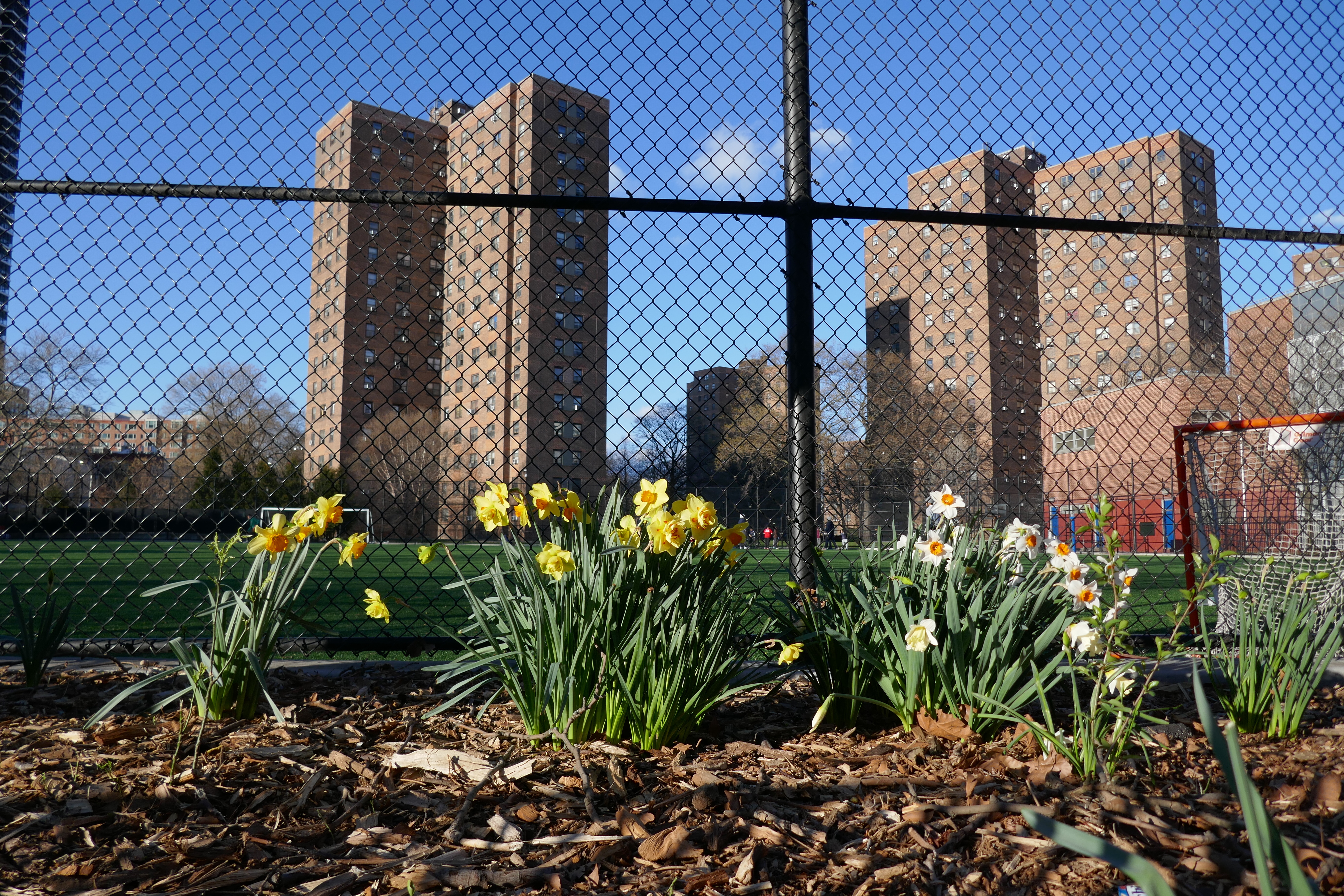 How community activists, police and residents drove down shootings in East Harlem