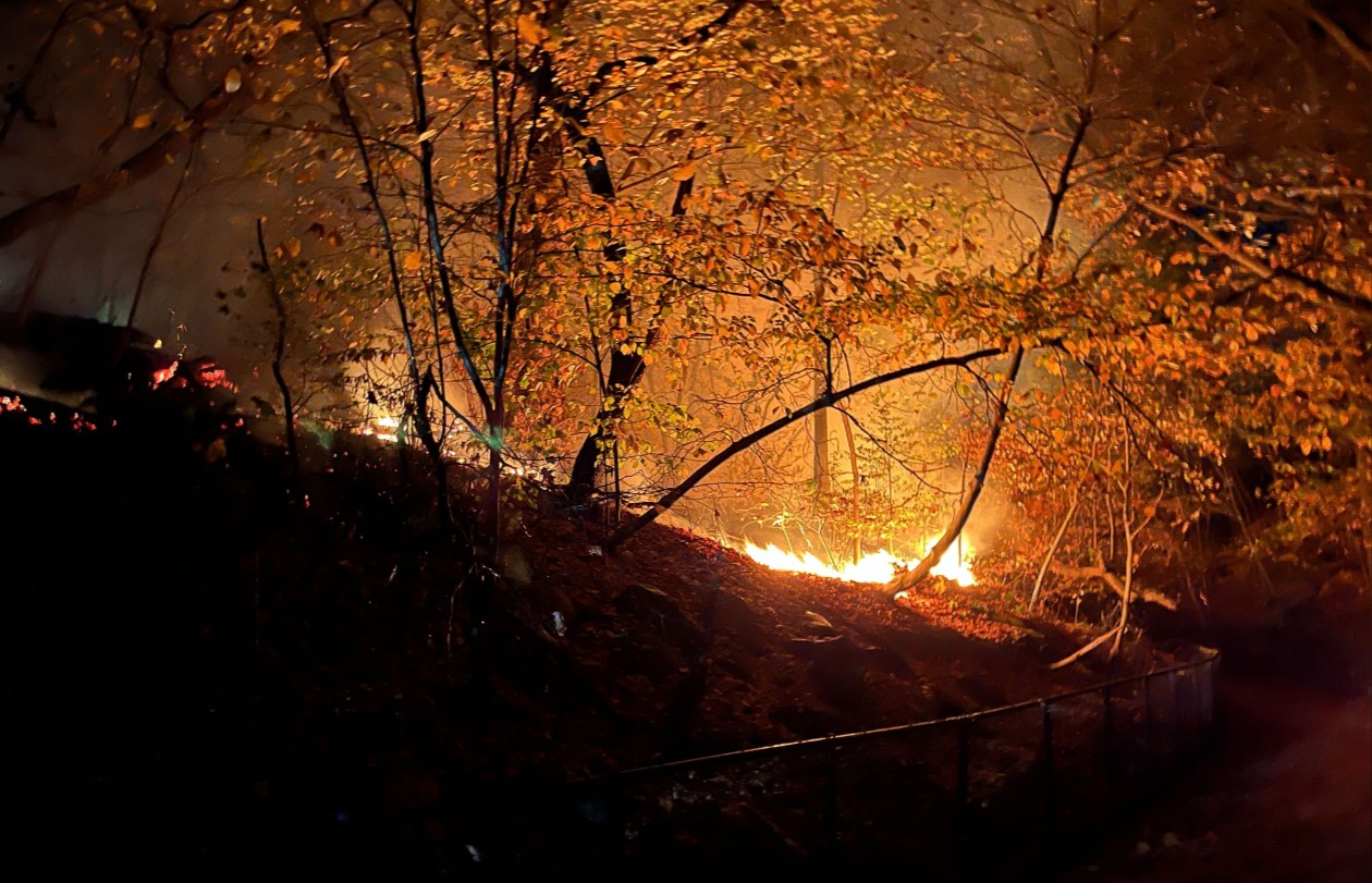 A brush fire is seen at Prospect Park on Nov. 8, 2024.