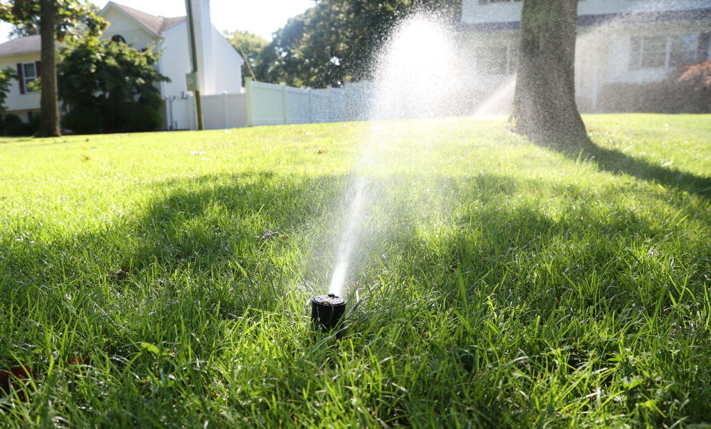 a sprinkler on a lawn in Shirley, New York