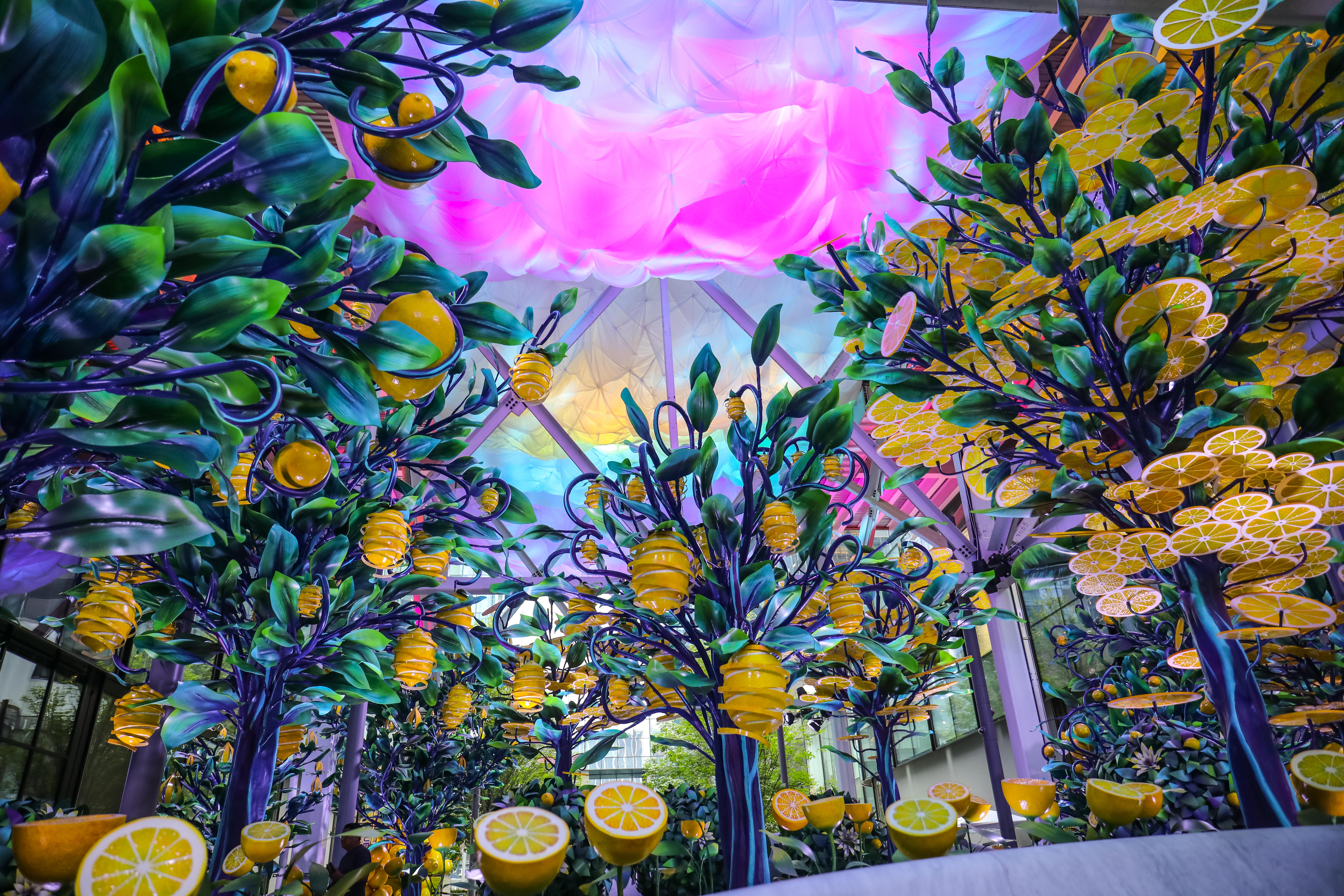 Photos: A Fantastical Lemon Wonderland Grows Under Some