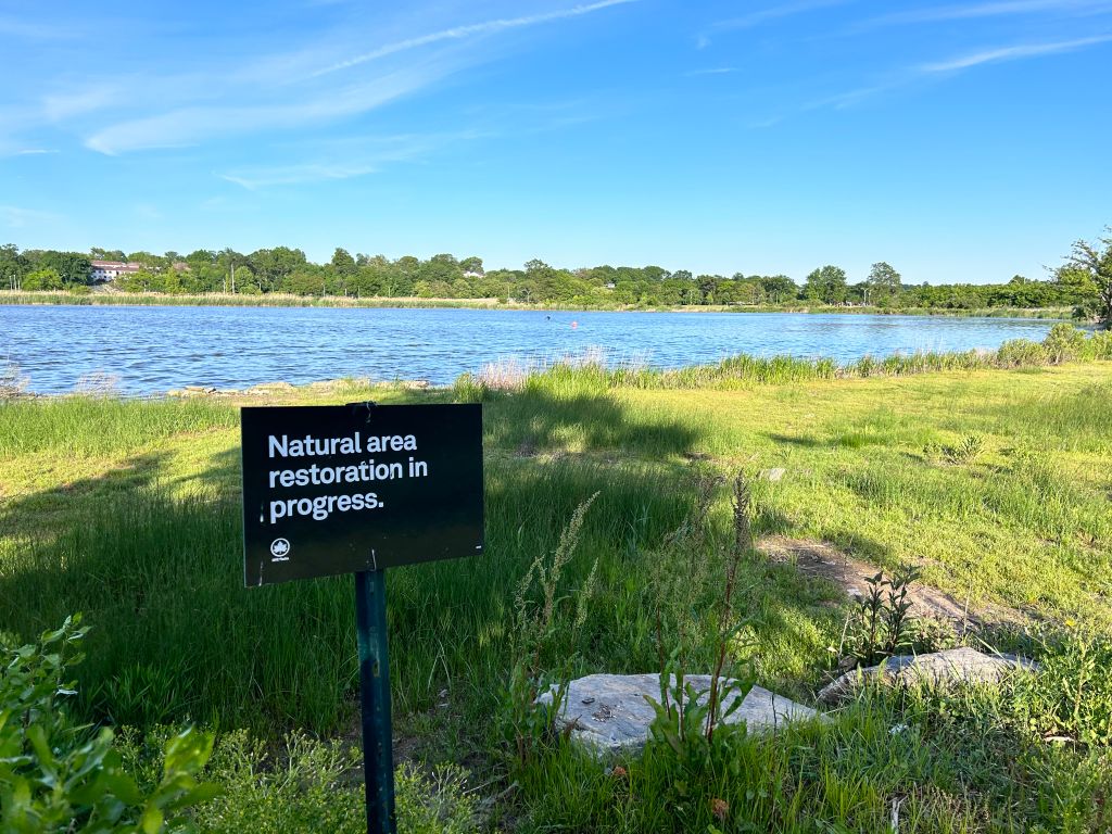 Meadow Lake in Corona Park