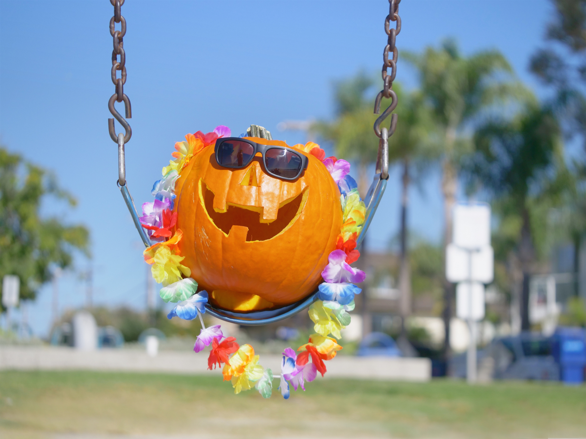 Extra Extra: Its almost Halloween